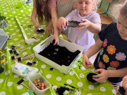 48788335111252647060681438712072558931645034n